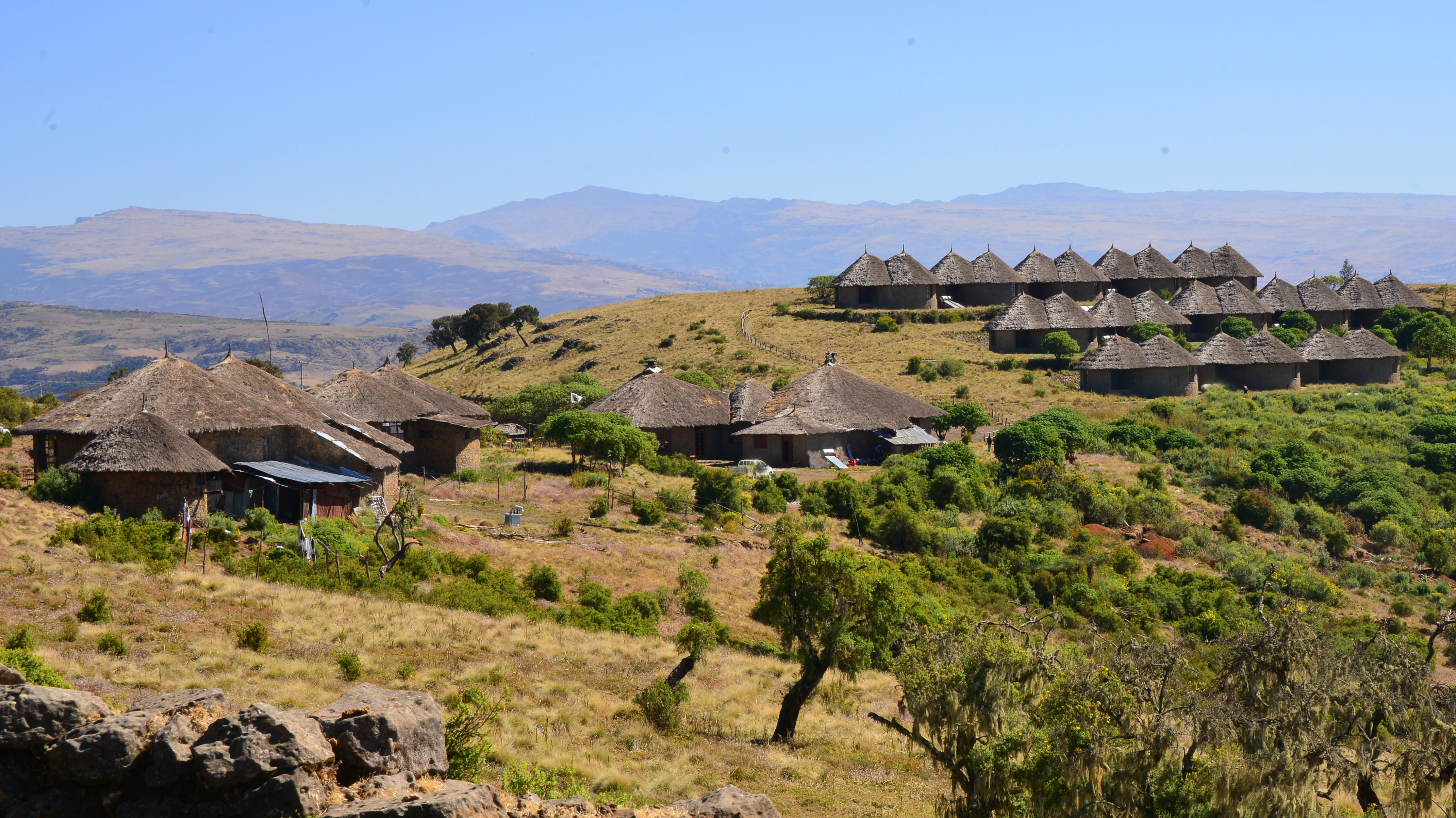 Debark & Simien Lodge