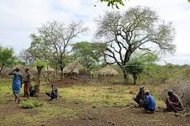 Mursi village